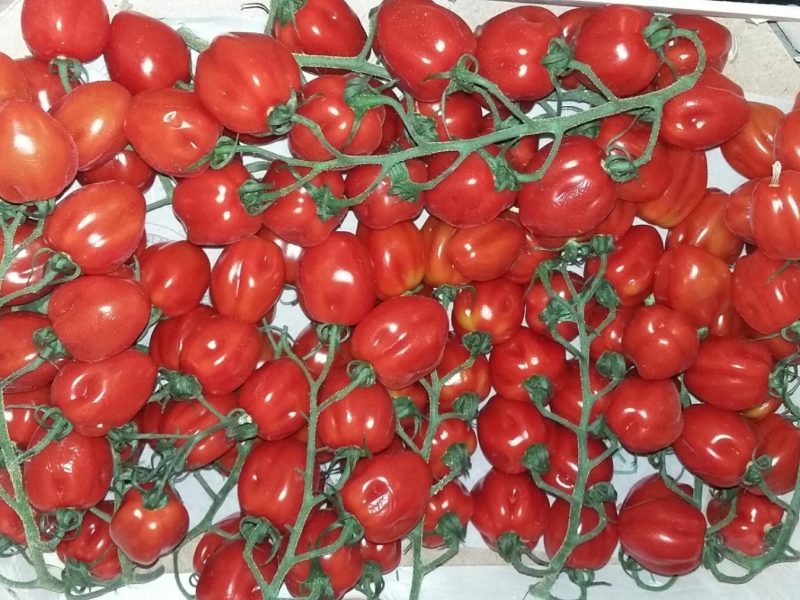 20190524_171401_resized-1